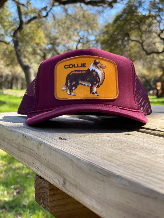 Collie Trucker Hat
